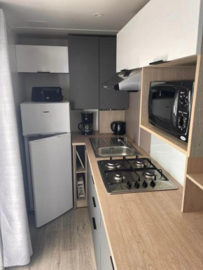 Charmant mobil home premium L048